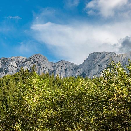 Resort 7 Crai - Cabana Tamas Zărneşti Εξωτερικό φωτογραφία